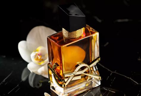 ysl ranking|best ysl perfumes 2022.